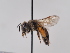  ( - TJW_770)  @11 [ ] nrr (2022) Unspecified Thomas Wood