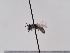  ( - TJW_777)  @11 [ ] nrr (2022) Unspecified Thomas Wood