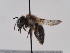  ( - TJW_787)  @11 [ ] nrr (2022) Unspecified Thomas Wood