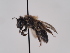  ( - TJW_788)  @11 [ ] nrr (2022) Unspecified Thomas Wood