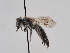  ( - TJW_792)  @11 [ ] nrr (2022) Unspecified Thomas Wood