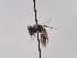  ( - TJW_794)  @11 [ ] nrr (2022) Unspecified Thomas Wood