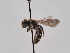  ( - TJW_810)  @11 [ ] nrr (2022) Unspecified Thomas Wood