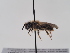  ( - TJW_820)  @11 [ ] nrr (2022) Unspecified Thomas Wood