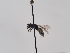  ( - TJW_832)  @11 [ ] nrr (2022) Unspecified Thomas Wood