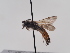  ( - TJW_836)  @11 [ ] nrr (2022) Unspecified Thomas Wood