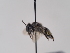  ( - TJW_839)  @11 [ ] nrr (2022) Unspecified Thomas Wood