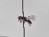  ( - TJW_842)  @11 [ ] nrr (2022) Unspecified Thomas Wood