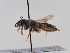  ( - TJW_859)  @11 [ ] nrr (2022) Unspecified Thomas Wood