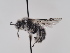 ( - TJW_897)  @11 [ ] nrr (2022) Unspecified Thomas Wood