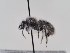  ( - TJW_902)  @11 [ ] nrr (2022) Unspecified Thomas Wood