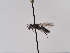  ( - TJW_925)  @11 [ ] nrr (2022) Unspecified Thomas Wood