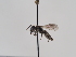 ( - TJW_926)  @11 [ ] nrr (2022) Unspecified Thomas Wood