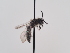  ( - TJW_927)  @11 [ ] nrr (2022) Unspecified Thomas Wood