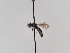  ( - TJW_928)  @11 [ ] nrr (2022) Unspecified Thomas Wood