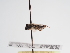  ( - TJW_966)  @11 [ ] nrr (2022) Unspecified Thomas Wood