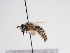 ( - TJW_972)  @11 [ ] nrr (2022) Unspecified Thomas Wood