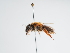  ( - TJW_977)  @11 [ ] nrr (2022) Unspecified Thomas Wood