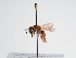  ( - TJW_990)  @11 [ ] nrr (2022) Unspecified Thomas Wood