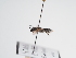  ( - TJW_996)  @11 [ ] nrr (2022) Unspecified Thomas Wood