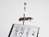  (Andrena niveata - TJW_997)  @11 [ ] nrr (2022) Unspecified Thomas Wood
