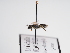  ( - TJW_998)  @11 [ ] nrr (2022) Unspecified Thomas Wood