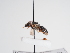  ( - TJW_999)  @11 [ ] nrr (2022) Unspecified Thomas Wood