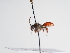  ( - TJW_1012)  @11 [ ] nrr (2022) Unspecified Thomas Wood