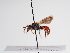  ( - TJW_1013)  @11 [ ] nrr (2022) Unspecified Thomas Wood