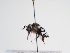  ( - TJW_1020)  @11 [ ] nrr (2022) Unspecified Thomas Wood