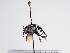  ( - TJW_1023)  @11 [ ] nrr (2022) Unspecified Thomas Wood