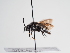  ( - TJW_1027)  @11 [ ] nrr (2022) Unspecified Thomas Wood