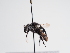  ( - TJW_1028)  @11 [ ] nrr (2022) Unspecified Thomas Wood