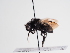  ( - TJW_1040)  @11 [ ] nrr (2022) Unspecified Thomas Wood