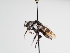  ( - TJW_1054)  @11 [ ] nrr (2022) Unspecified Thomas Wood