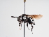  ( - TJW_1055)  @11 [ ] nrr (2022) Unspecified Thomas Wood