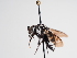 ( - TJW_1057)  @11 [ ] nrr (2022) Unspecified Thomas Wood