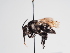  ( - TJW_1062)  @11 [ ] nrr (2022) Unspecified Thomas Wood