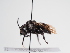  ( - TJW_1063)  @11 [ ] nrr (2022) Unspecified Thomas Wood