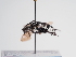  ( - TJW_1077)  @11 [ ] nrr (2022) Unspecified Thomas Wood