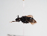  ( - TJW_1120)  @11 [ ] nrr (2022) Unspecified Thomas Wood