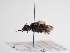  ( - TJW_1121)  @11 [ ] nrr (2022) Unspecified Thomas Wood
