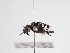  ( - TJW_1123)  @11 [ ] nrr (2022) Unspecified Thomas Wood