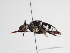  ( - TJW_1127)  @11 [ ] nrr (2022) Unspecified Thomas Wood
