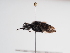  ( - TJW_1128)  @11 [ ] nrr (2022) Unspecified Thomas Wood