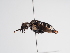  ( - TJW_1130)  @11 [ ] nrr (2022) Unspecified Thomas Wood