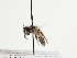  ( - TJW_1154)  @11 [ ] nrr (2023) Unspecified Thomas Wood