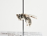  ( - TJW_1158)  @11 [ ] nrr (2023) Unspecified Thomas Wood