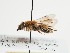 ( - TJW_1164)  @11 [ ] nrr (2023) Unspecified Thomas Wood