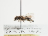 ( - TJW_1165)  @11 [ ] nrr (2023) Unspecified Thomas Wood